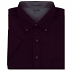 Purple Purple