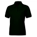 Dark Green Dark Green