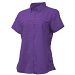 Purple Purple