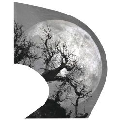 Style Plus - (Made To Order) - Super Swing Digital Flag 210