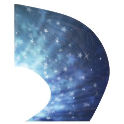 Style Plus - (Made To Order) - Super Swing Digital Flag 213