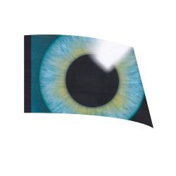 Style Plus - (Made To Order) - Digital Performace Flag - DIGI 153