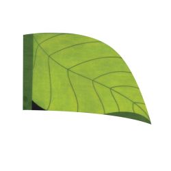 Style Plus - (Made To Order) - Digital Performace Flag - DIGI 156