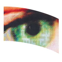 Style Plus - (Made To Order) - Digital Performace Flag - DIGI 206