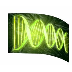 Style Plus - (Made To Order) - Digital Performace Flag - DIGI 703