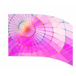 Style Plus - (Made To Order) - Digital Performace Flag - DIGI 704