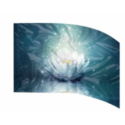 Style Plus - (Made To Order) - Digital Performace Flag - DIGI 758