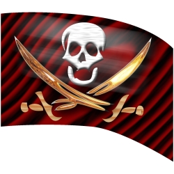 Style Plus - Envision Flag 013