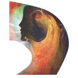 Style Plus - (Made To Order) - Super Swing Digital Flag 807